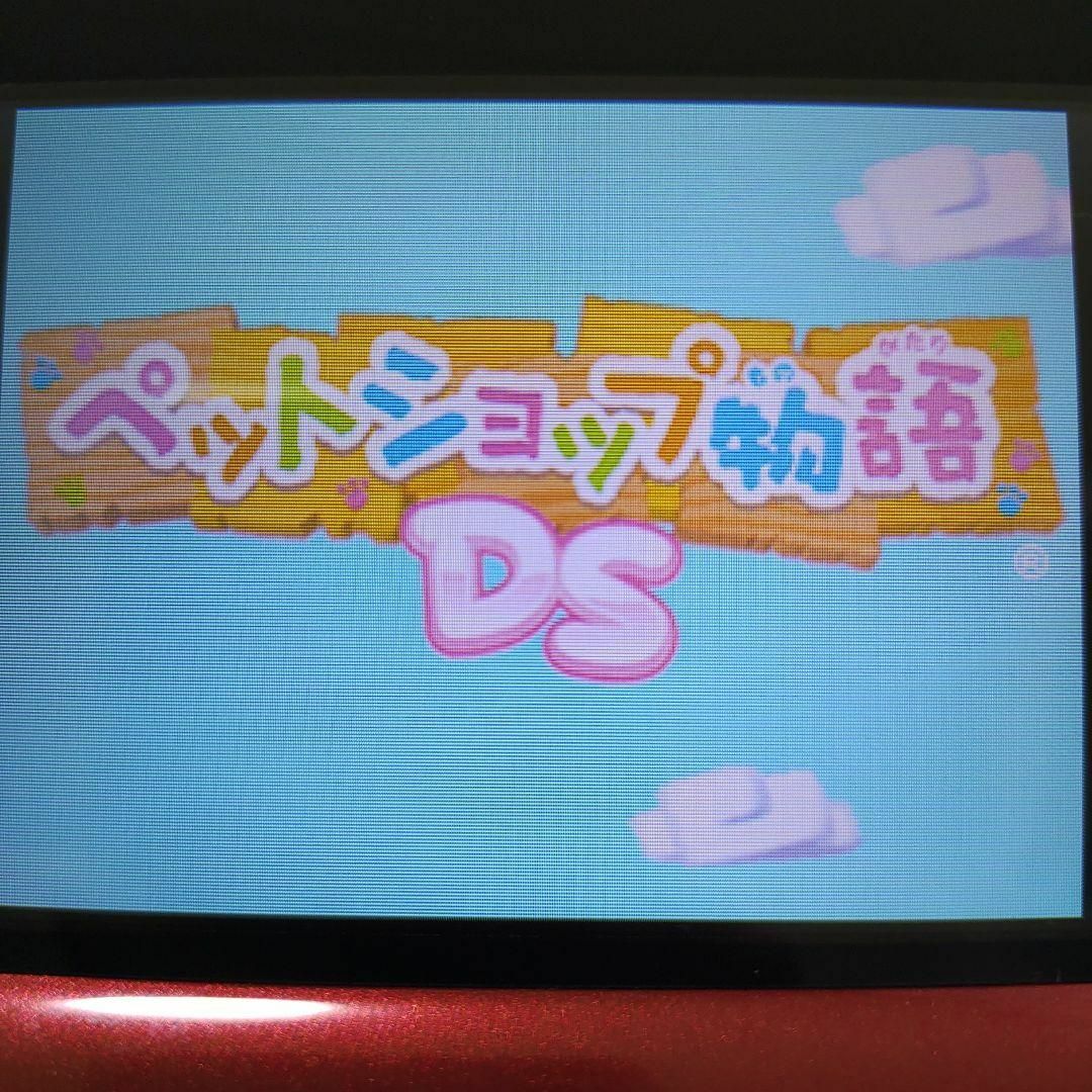 ニンテンドーDS(ニンテンドーDS)のペットショップ物語 DS エンタメ/ホビーのゲームソフト/ゲーム機本体(携帯用ゲームソフト)の商品写真