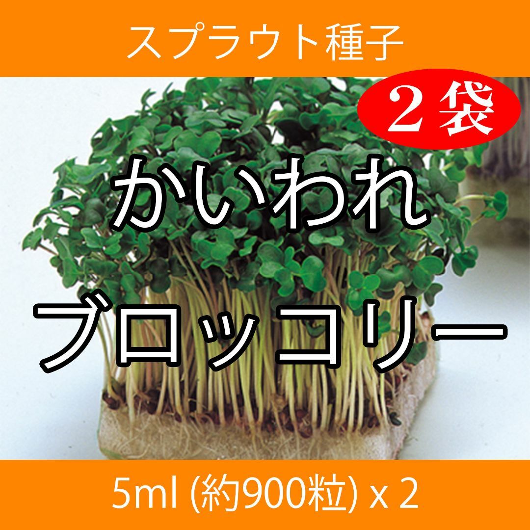 スプラウト種子 S-01 かいわれブロッコリー 5ml x 2袋 食品/飲料/酒の食品(野菜)の商品写真