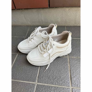 靴(24.5)(スニーカー)