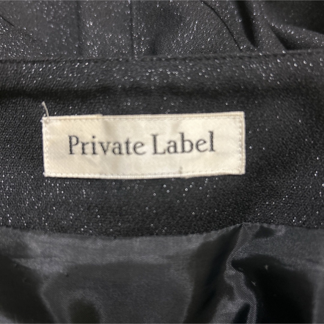 PRIVATE LABEL(プライベートレーベル)のプライベートレーベル Private Label 膝丈フレアスカート レディースのスカート(ひざ丈スカート)の商品写真