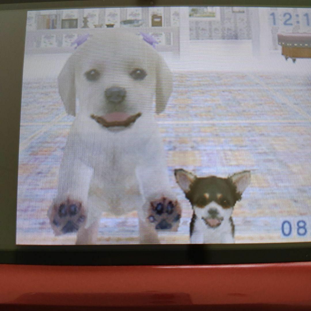 ニンテンドーDS(ニンテンドーDS)のnintendogs チワワ＆フレンズ エンタメ/ホビーのゲームソフト/ゲーム機本体(携帯用ゲームソフト)の商品写真