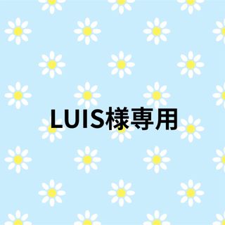 LUIS様専用①(ソックス)