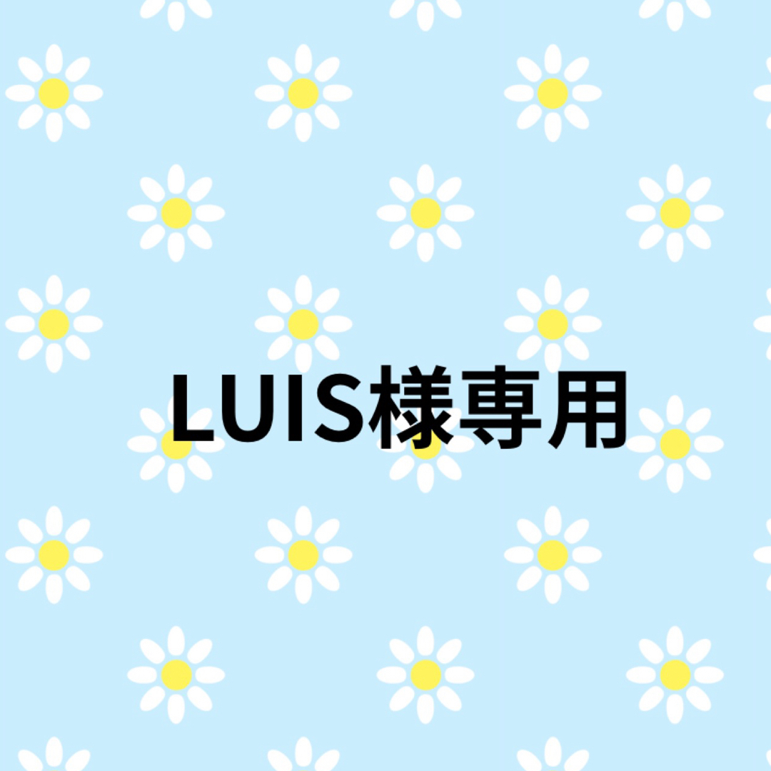 LUIS様専用② レディースのレッグウェア(ソックス)の商品写真