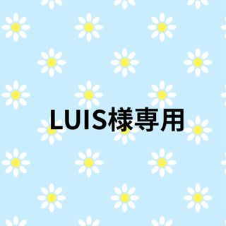 LUIS様専用②(ソックス)