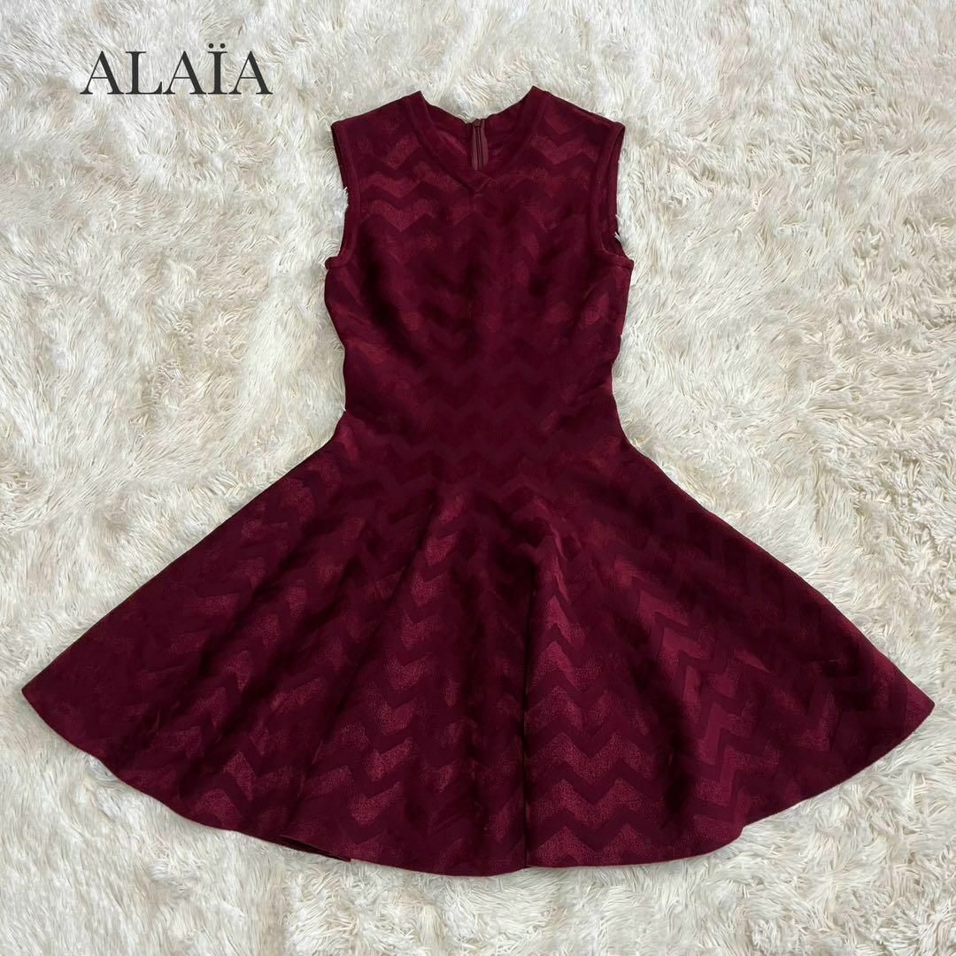 極美品 ALAIA アライア ベルベット 総柄 フレアワンピース ボルドー 40 レディースのワンピース(ひざ丈ワンピース)の商品写真