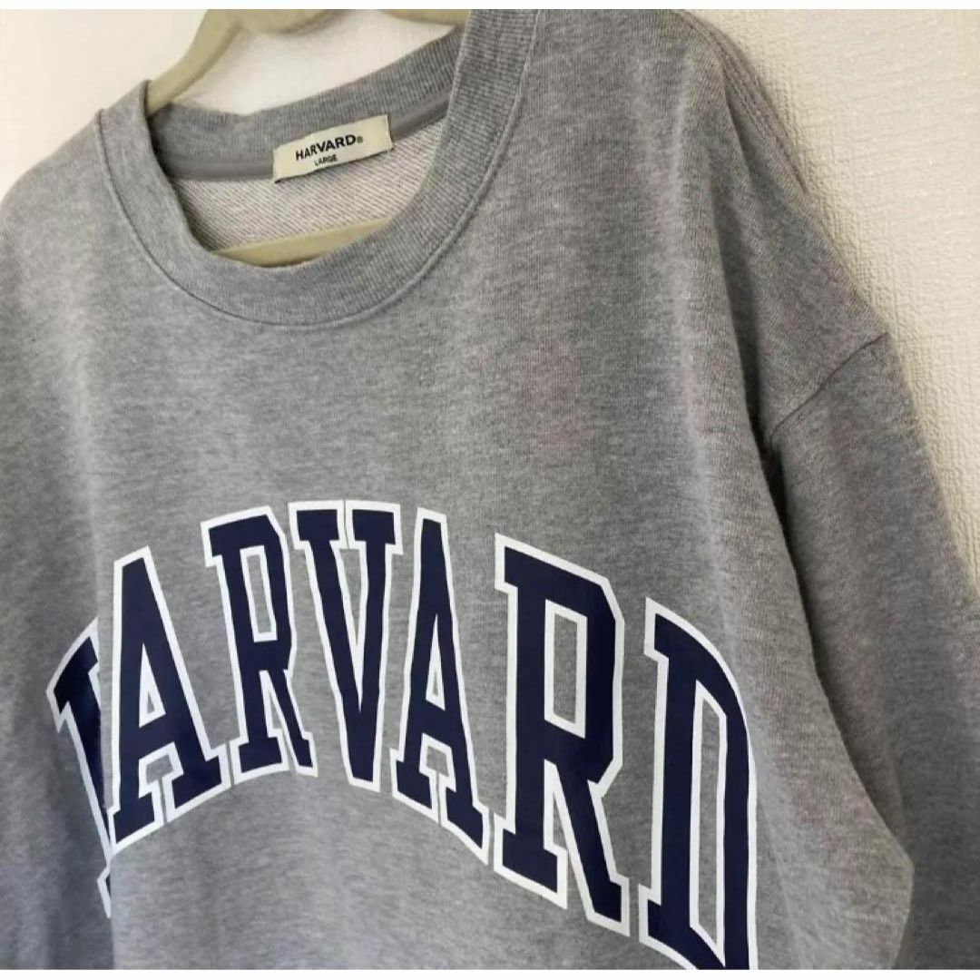 HARVARD(ハーヴァード)の【HARVARD】　スウェット　トレーナー　グレー　長袖　デカロゴ　古着　L メンズのトップス(スウェット)の商品写真