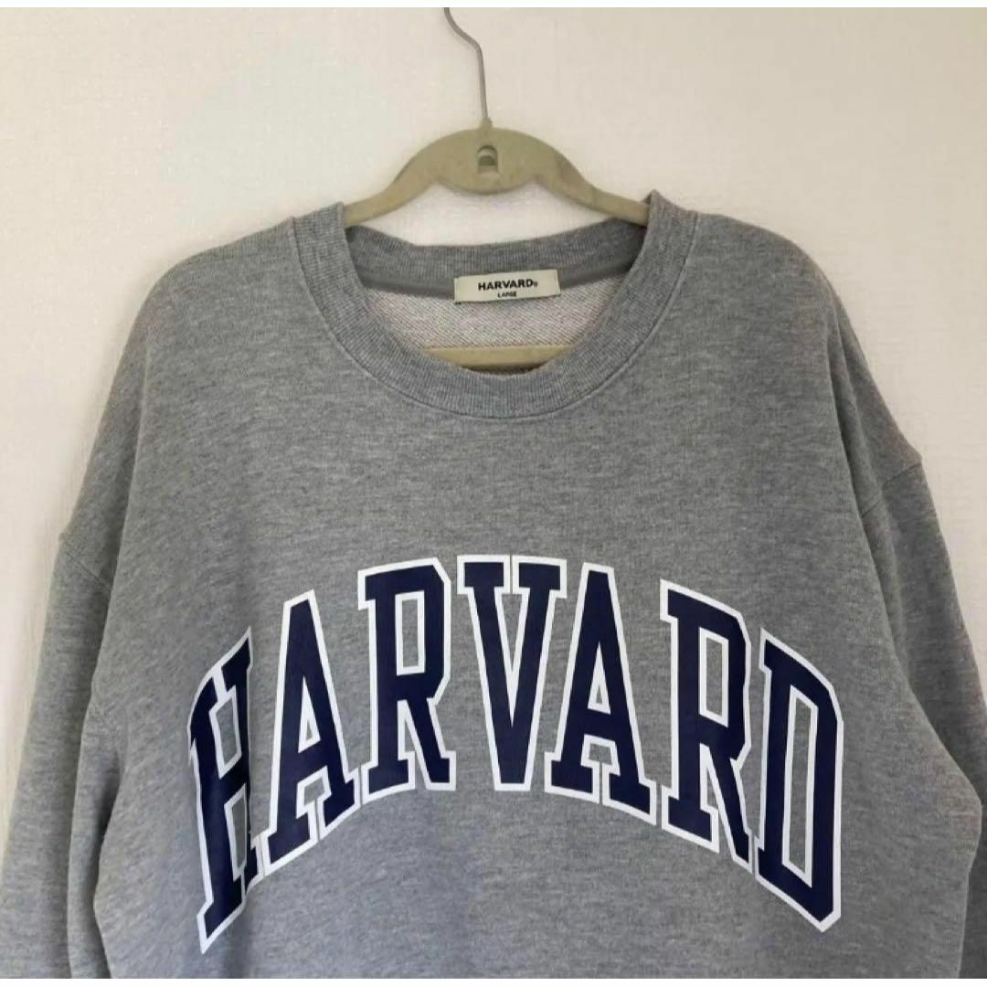 HARVARD(ハーヴァード)の【HARVARD】　スウェット　トレーナー　グレー　長袖　デカロゴ　古着　L メンズのトップス(スウェット)の商品写真