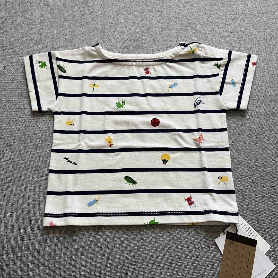 INSECT　COLLECTION(インセクトコレクション)のインセクトコレクション　半袖Tシャツ　【80cm】 キッズ/ベビー/マタニティのベビー服(~85cm)(Ｔシャツ)の商品写真
