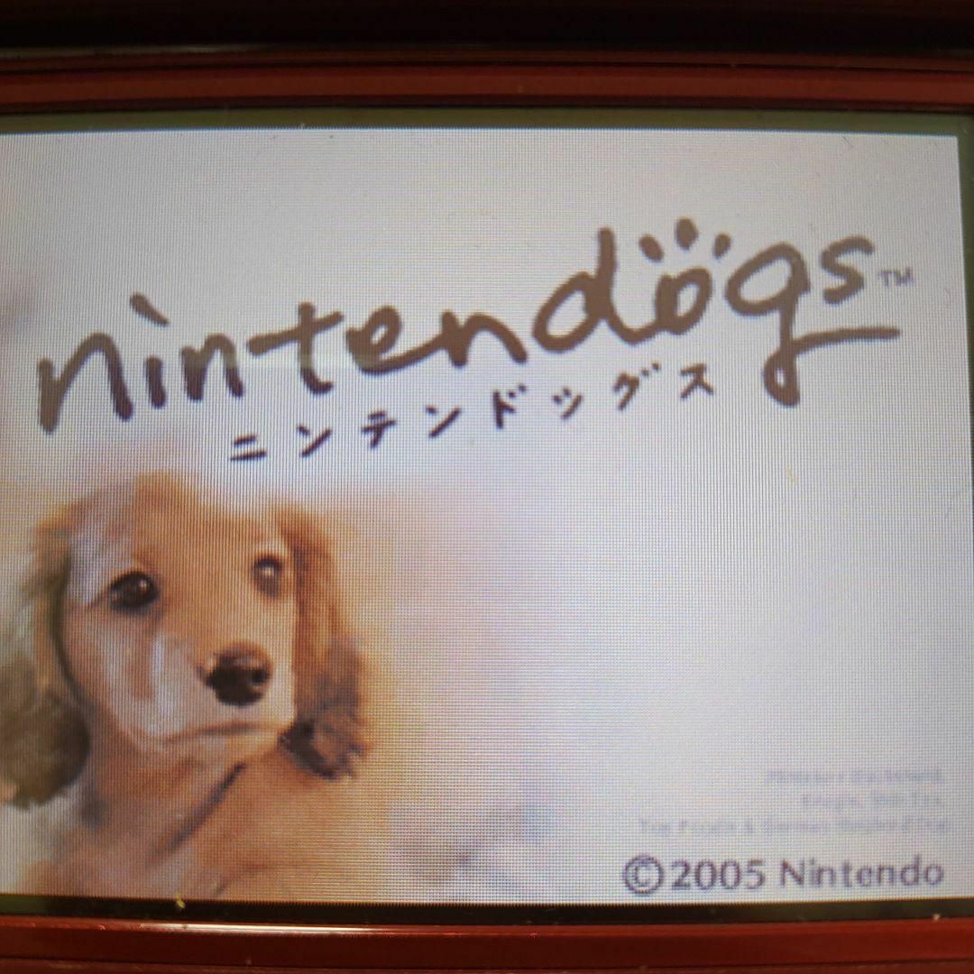 ニンテンドーDS(ニンテンドーDS)のnintendogs ダックス＆フレンズ エンタメ/ホビーのゲームソフト/ゲーム機本体(携帯用ゲームソフト)の商品写真