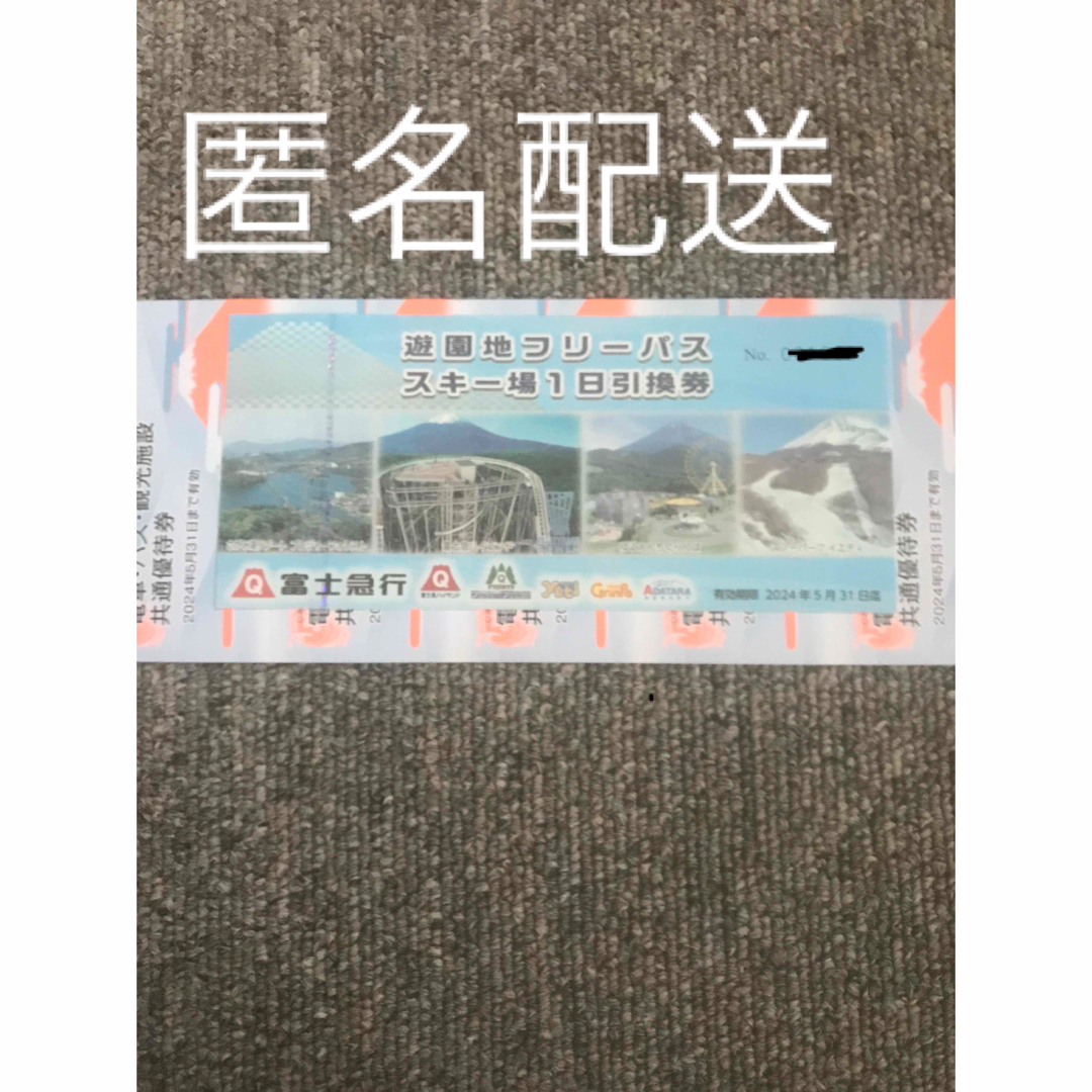 富士急ハイランドフリーパス　6枚セット チケットの施設利用券(遊園地/テーマパーク)の商品写真