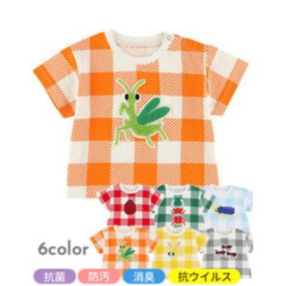 インセクトコレクション(INSECT　COLLECTION)のインセクトコレクション　ビッグギンガムさがら刺繍ワッペンTシャツ　ハチ(Tシャツ/カットソー)