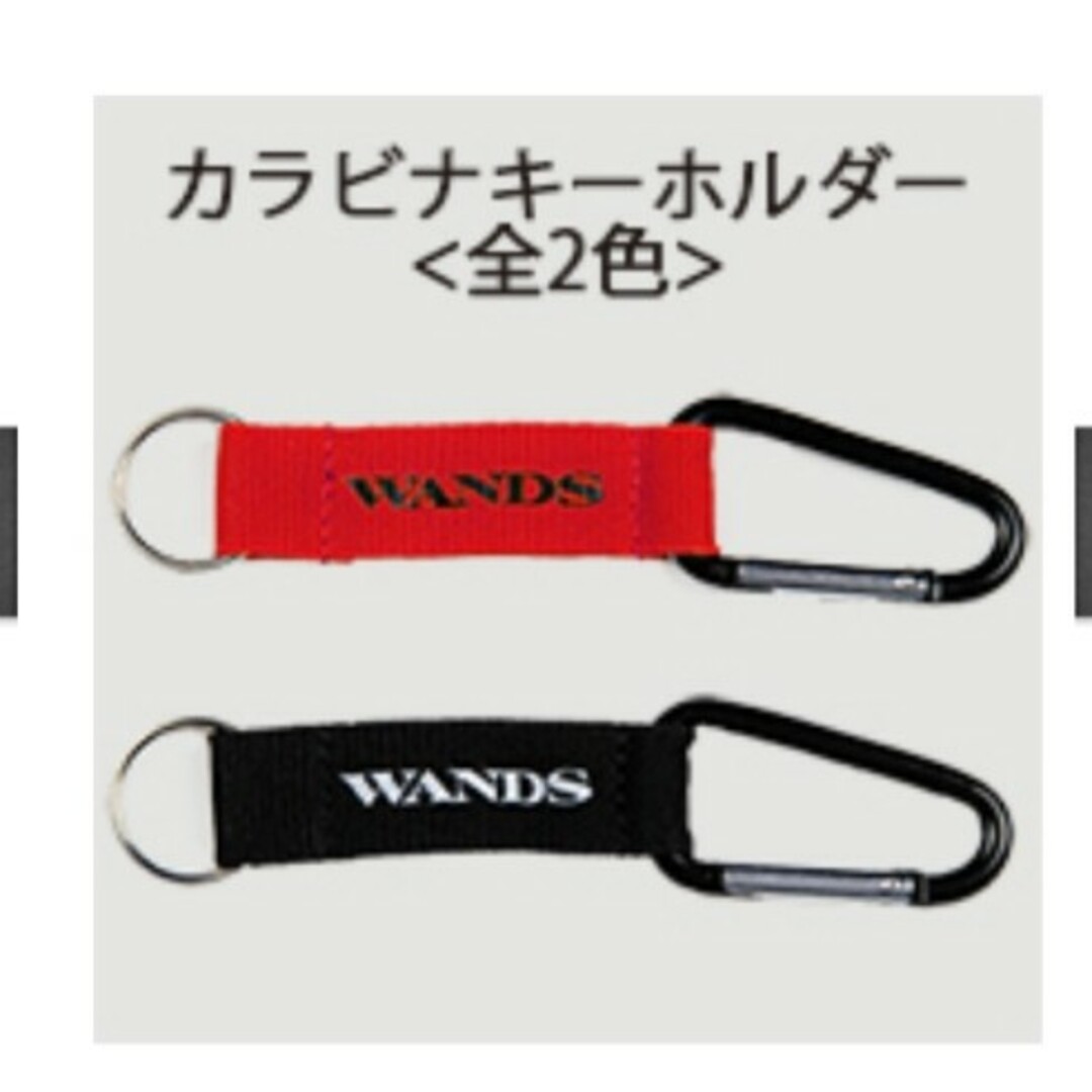 【未使用】WANDS5期 ファンクラブ継続特典とグッズ エンタメ/ホビーのタレントグッズ(ミュージシャン)の商品写真