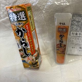 新品・未使用　ハウス食品　ペーストスパイスピンズ 特選本香り からし(キャラクターグッズ)