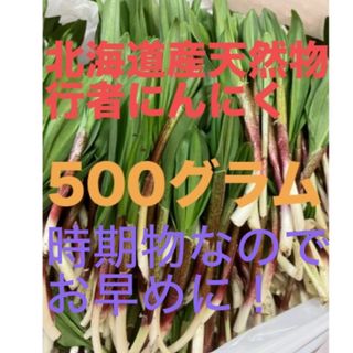北海道産天然物行者にんにく　500g(野菜)