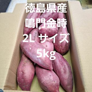 さつまいも　徳島県産鳴門金時2L サイズ5kg(野菜)