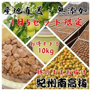 農家直送！紀州南高梅 樽 10kg かわあつ梅 無添加 和歌山 紀州 白梅(漬物)