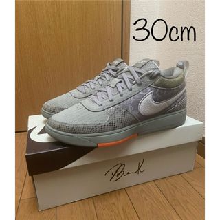 ナイキ(NIKE)のNike Book 1 PRM Hike 30cm(スニーカー)