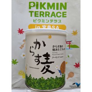 ピクミン 宮島SA限定 からす麦の焼きたてクッキー バッケンモーツァルト(菓子/デザート)