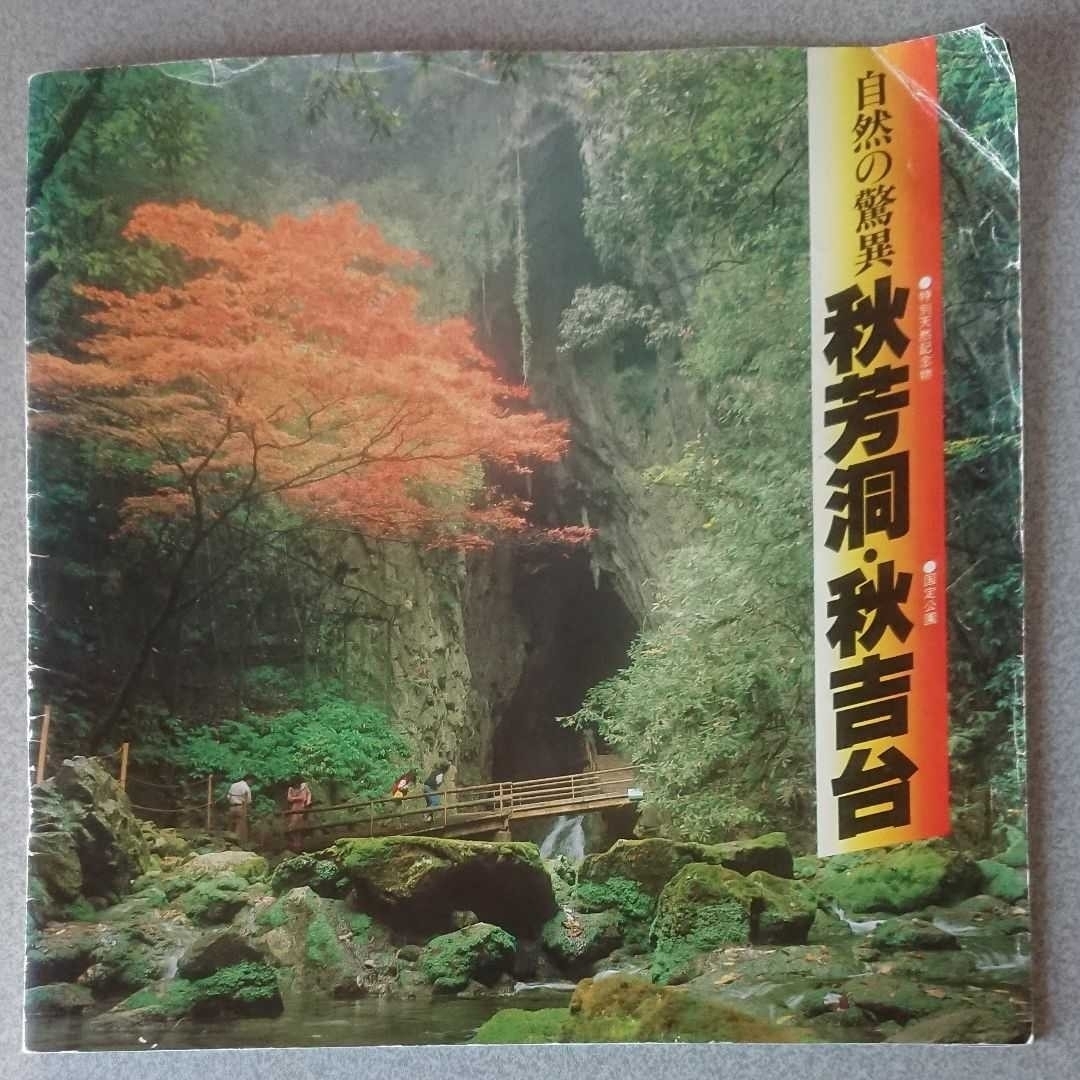 ガイドブック「秋芳洞・秋吉台」 エンタメ/ホビーの本(地図/旅行ガイド)の商品写真