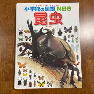 小学館 - 小学館の図鑑　NEO 昆虫