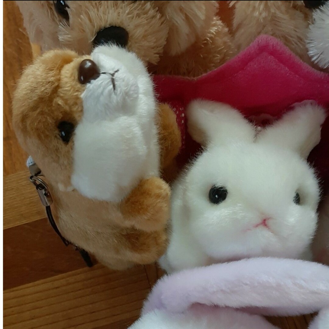 ふわふわ 動物 ぬいぐるみ セット エンタメ/ホビーのおもちゃ/ぬいぐるみ(ぬいぐるみ)の商品写真