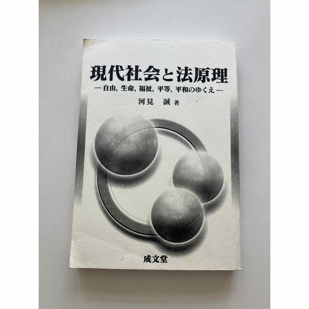 現代社会と法原理 自由,生命,福祉,平等,平和のゆくえ　青山学院大学 エンタメ/ホビーの本(人文/社会)の商品写真