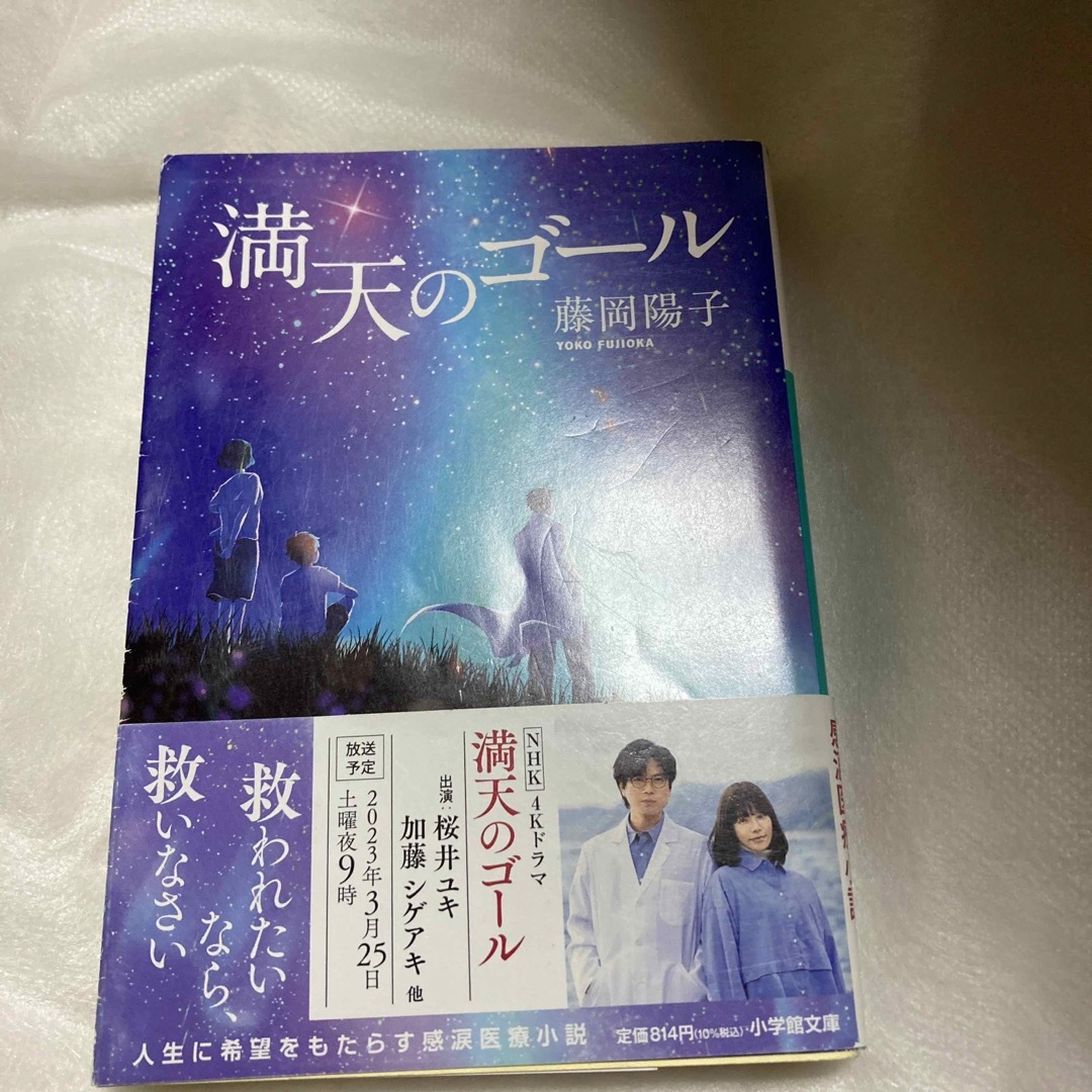 満天のゴール エンタメ/ホビーの本(文学/小説)の商品写真