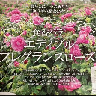 豊華(ほうか)　朝摘み　5月中旬土曜日日曜日発送分(ドライフラワー)