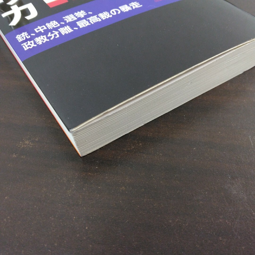 引き裂かれるアメリカ エンタメ/ホビーの本(その他)の商品写真