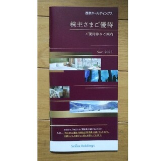 西武ホールディングス 1000株以上 株主優待 冊子 (2024/5/31まで(遊園地/テーマパーク)