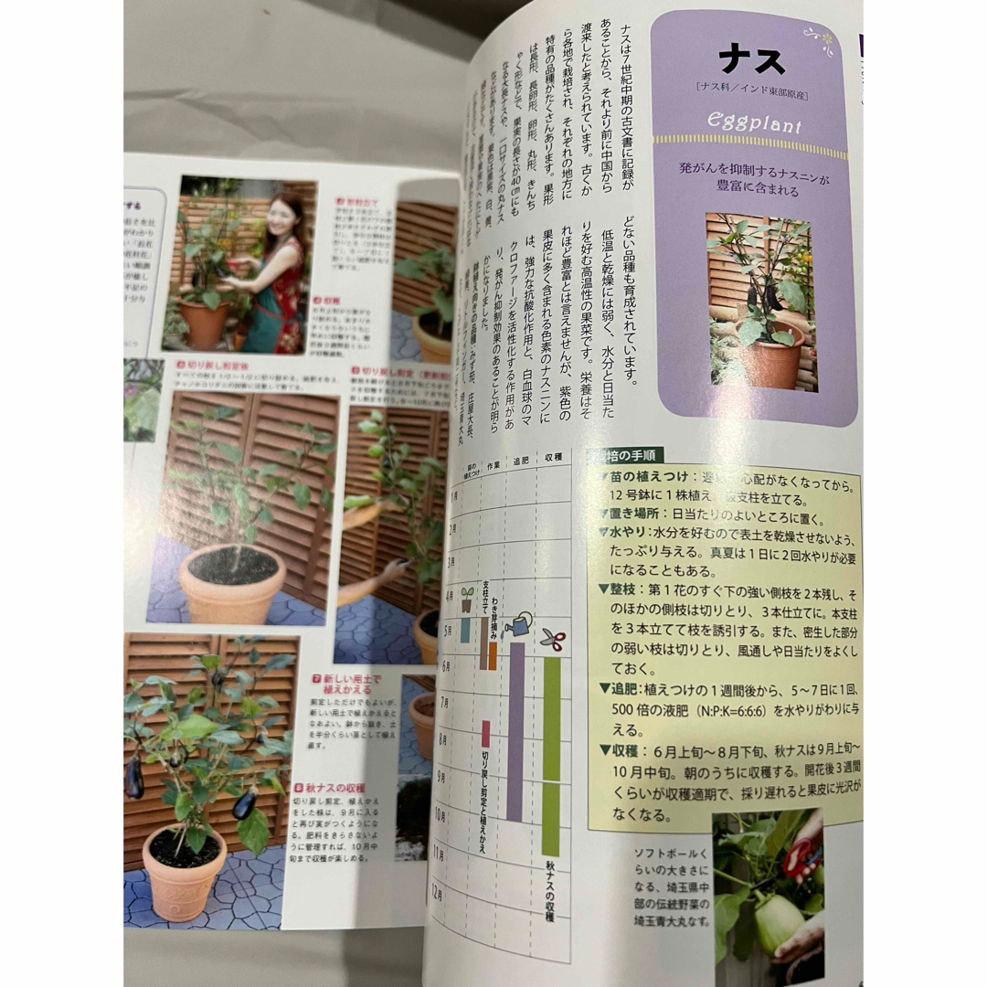 ベランダでサラダ野菜 エンタメ/ホビーの本(趣味/スポーツ/実用)の商品写真