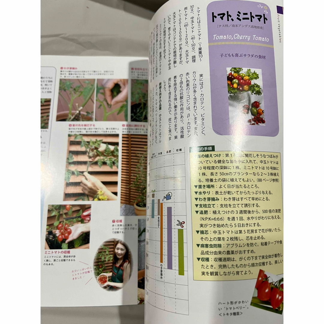 ベランダでサラダ野菜 エンタメ/ホビーの本(趣味/スポーツ/実用)の商品写真