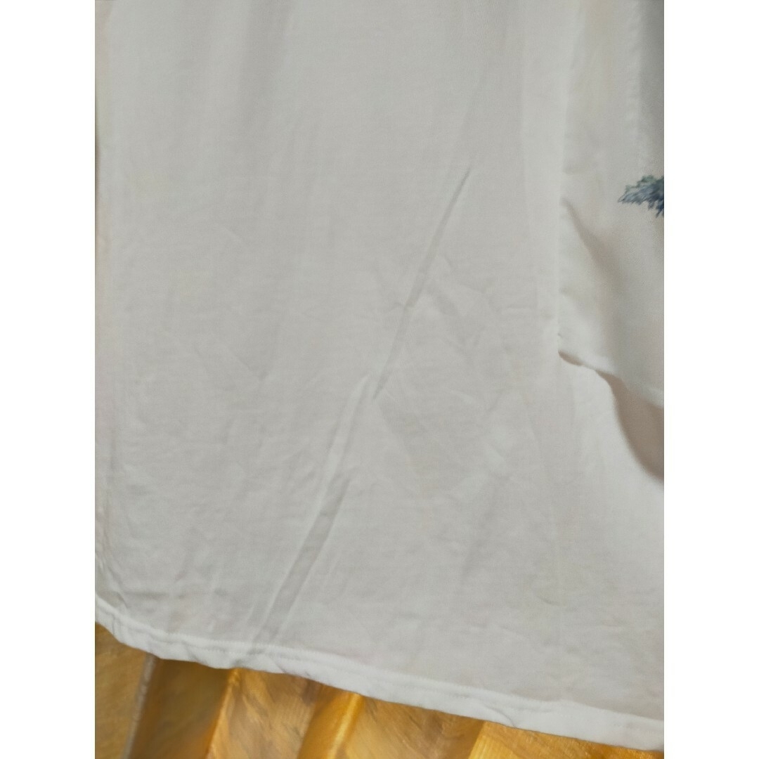 HARE(ハレ)のHARE ハレ シフォンスリーブカットソー レディースのトップス(カットソー(半袖/袖なし))の商品写真