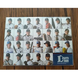埼玉西武ライオンズ ポストカード 2009年 5枚セット(記念品/関連グッズ)