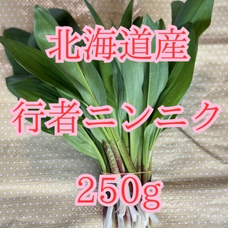 北海道道北産行者ニンニク250g(野菜)