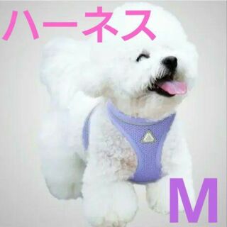 ハーネス 小型犬 猫 通気性 散歩 訓練に最適 パープル M(犬)