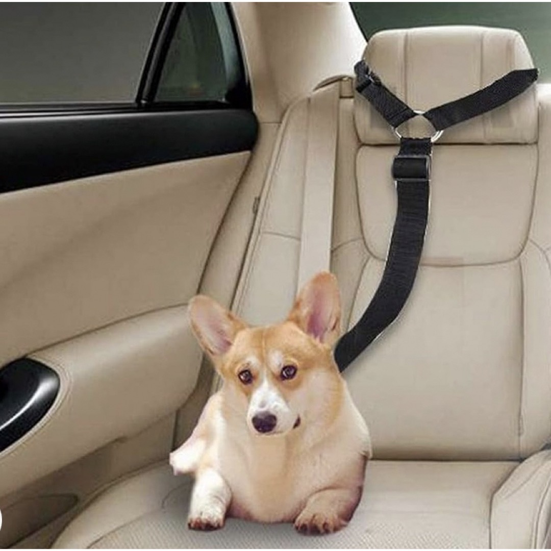 犬猫 シートベルト ドライブ 車専用リード 安全ベルト 取り付け簡単 犬カー用品 その他のペット用品(犬)の商品写真