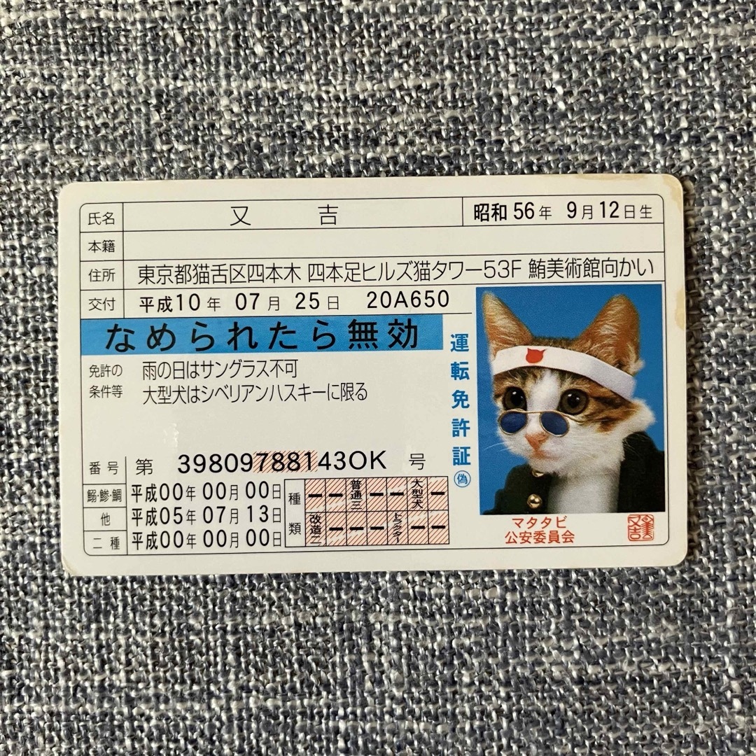 なめ猫　免許証　3種 エンタメ/ホビーのトレーディングカード(その他)の商品写真