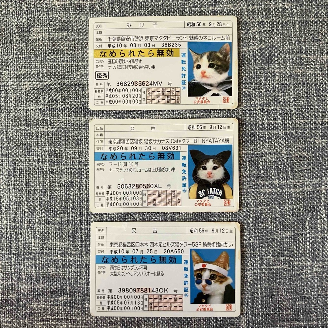 なめ猫　免許証　3種 エンタメ/ホビーのトレーディングカード(その他)の商品写真