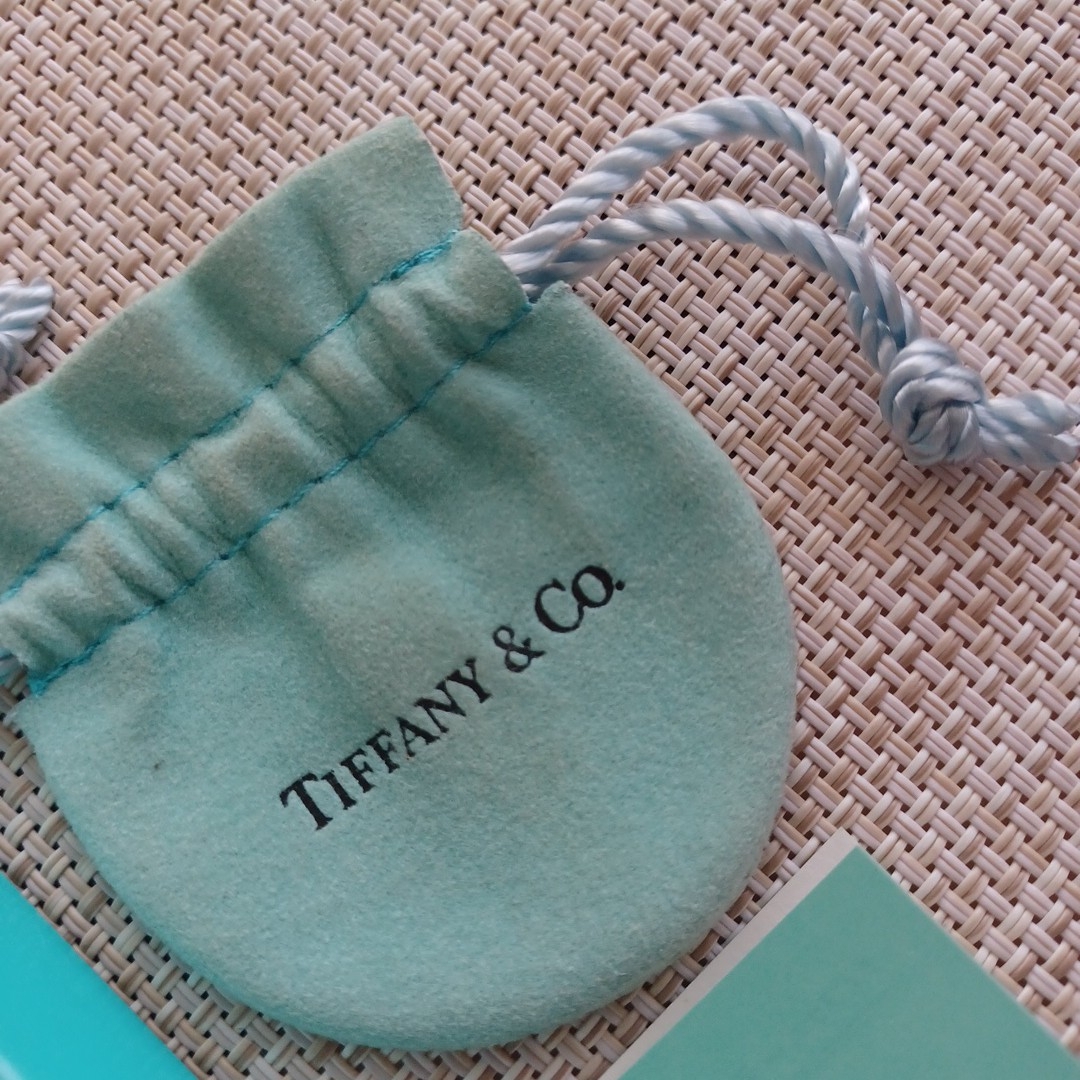 Tiffany & Co.(ティファニー)のティファニー　エターナルサークル　ネックレス レディースのアクセサリー(ネックレス)の商品写真