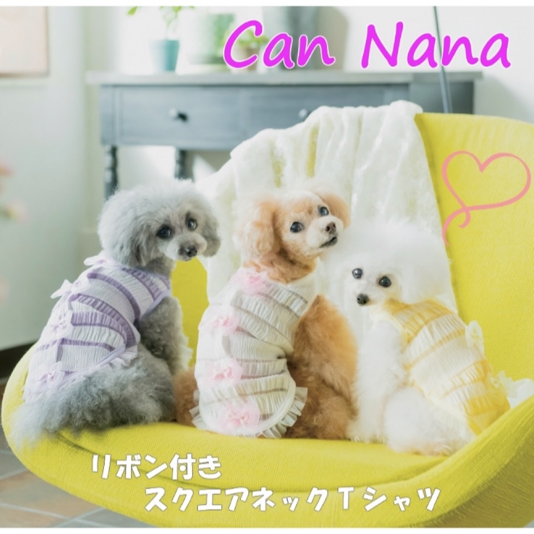 CanNana(キャンナナ)のSALE⭕️キャンナナ　リボンスクエア　色ラベンダーM その他のペット用品(犬)の商品写真