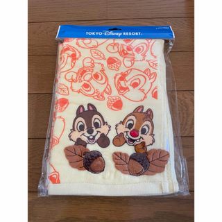 ディズニー(Disney)のディズニー　チップとデールフェイスタオル(タオル/バス用品)