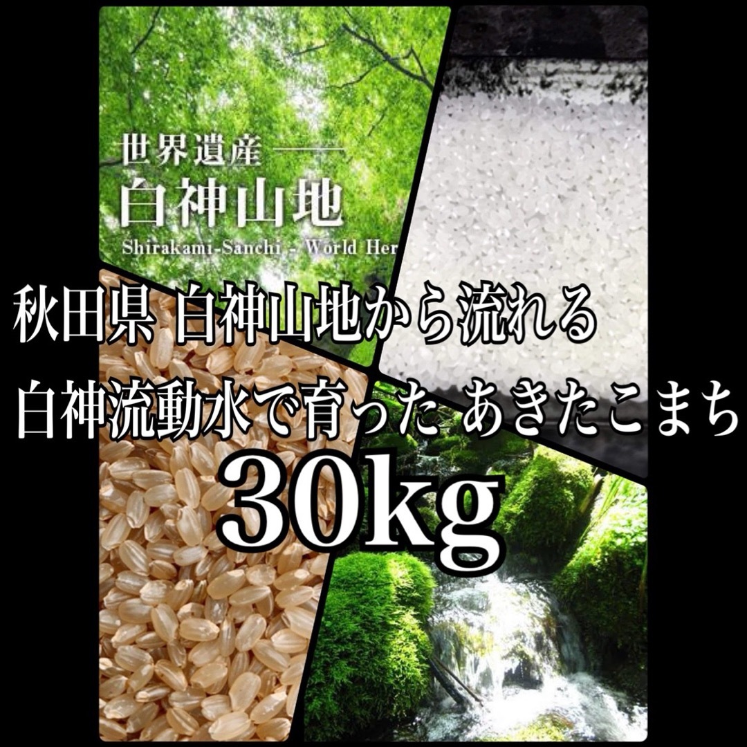 令和５年産 秋田県産 【特別栽培米】 あきたこまち ３０kg 無洗米も対応 食品/飲料/酒の食品(米/穀物)の商品写真