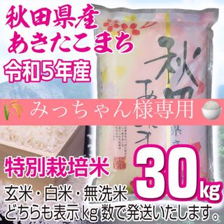 令和５年産 秋田県産 【特別栽培米】 あきたこまち ３０kg 無洗米も対応(米/穀物)