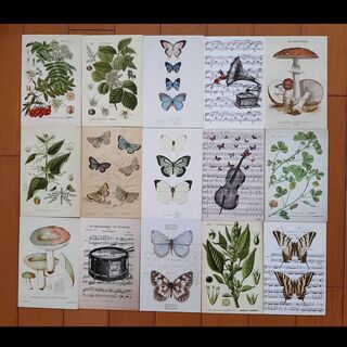 インテリアカード　図鑑挿絵風　30枚セット　蝶々　植物　キノコ(印刷物)