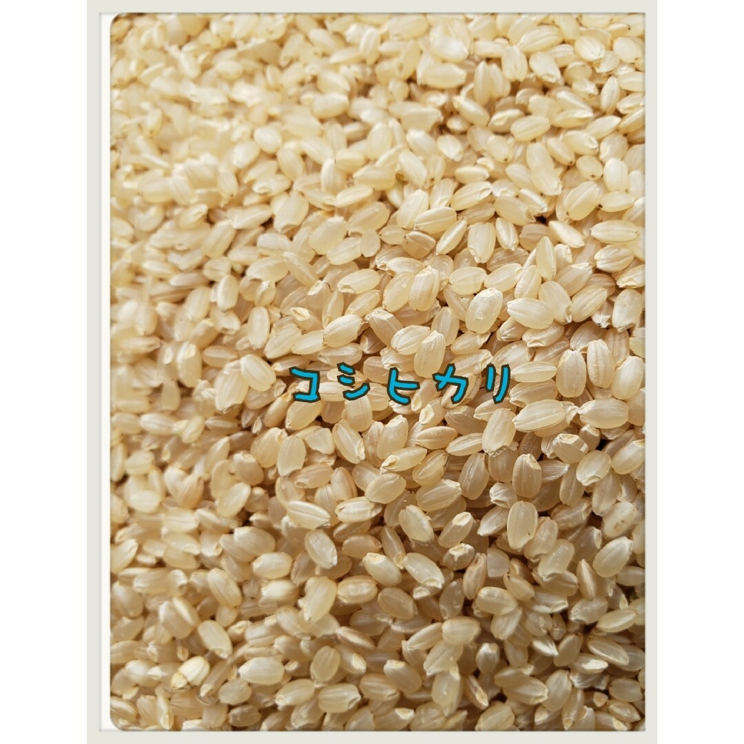 加藤様専用商品です。白米コシヒカリ5kg(一割減)×3袋 食品/飲料/酒の食品(米/穀物)の商品写真