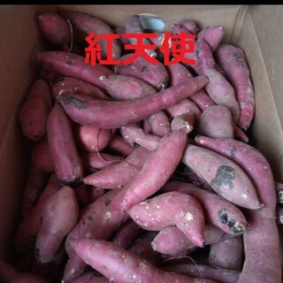 B級品 紅天使　約4キロ　S~M 芋屋のサツマイモ(野菜)