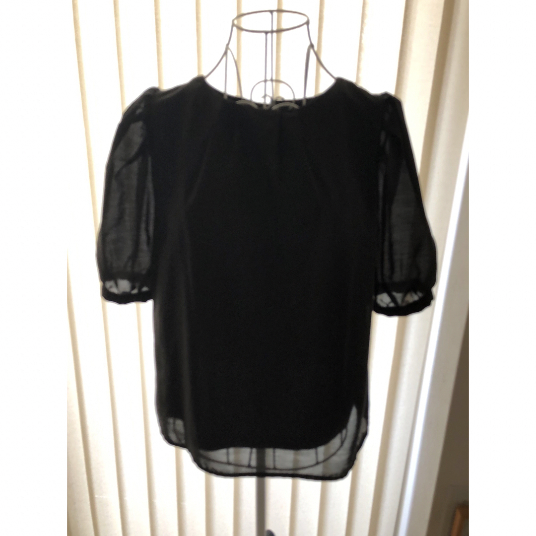 ブラックブラウス レディースのトップス(シャツ/ブラウス(半袖/袖なし))の商品写真