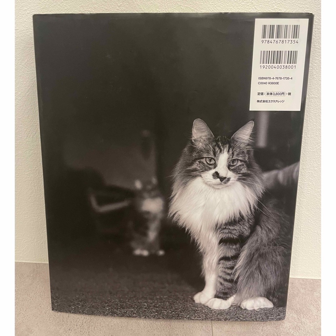 世界で一番美しい猫の図鑑 エンタメ/ホビーの本(アート/エンタメ)の商品写真