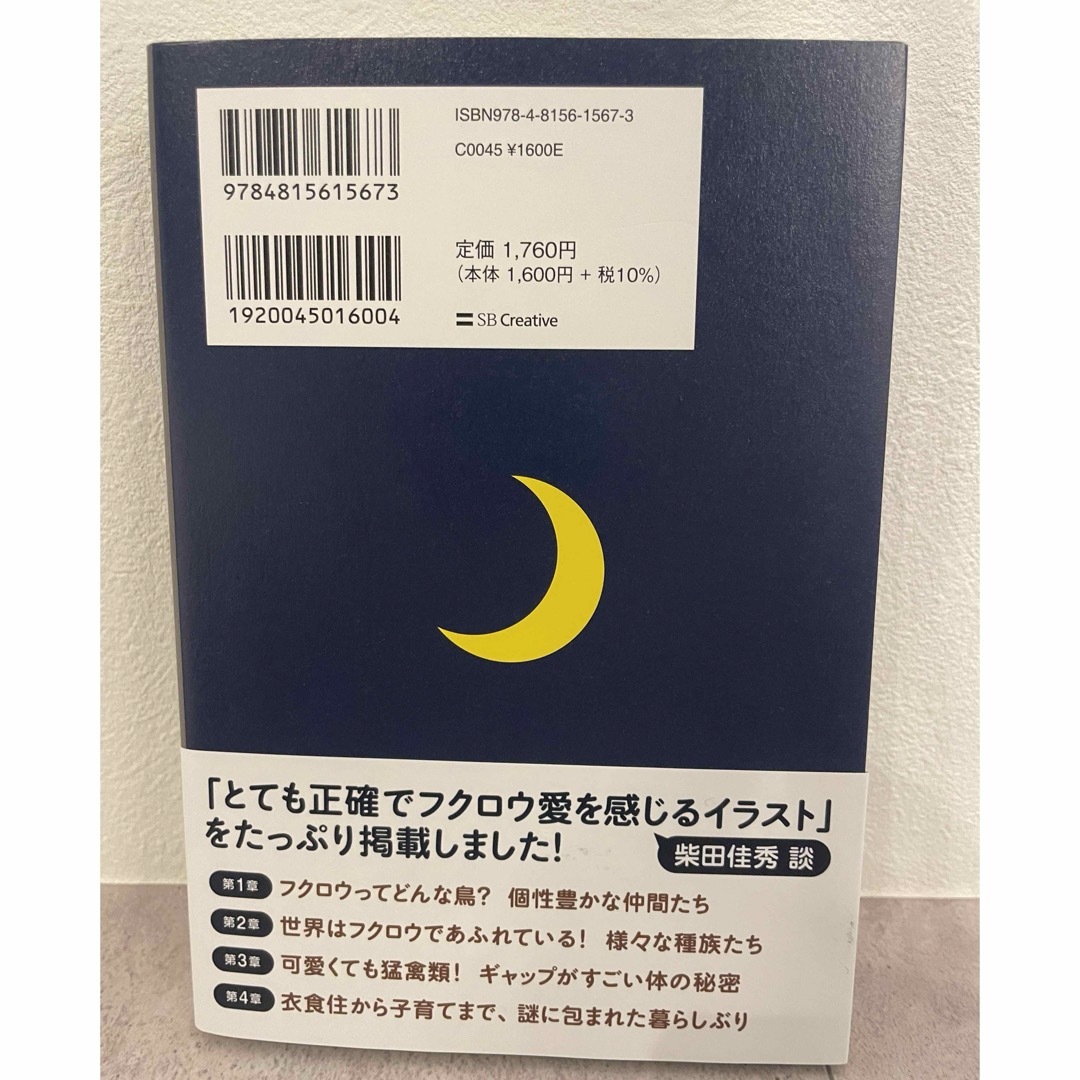 新品　ときめくフクロウ図鑑 エンタメ/ホビーの本(趣味/スポーツ/実用)の商品写真